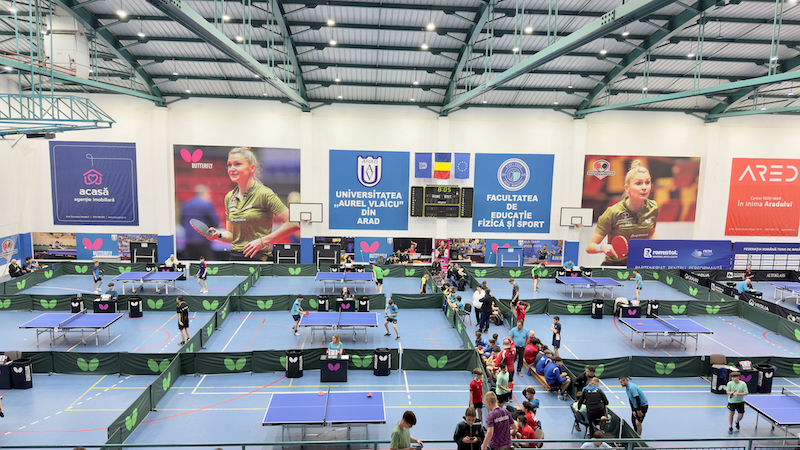 Academia de tenis de masă Daniela Dodean